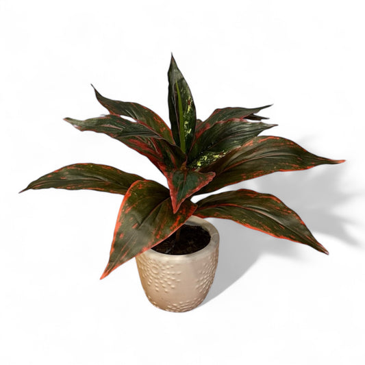 Aglaonema Fake Plant for Indoor and Outdoor