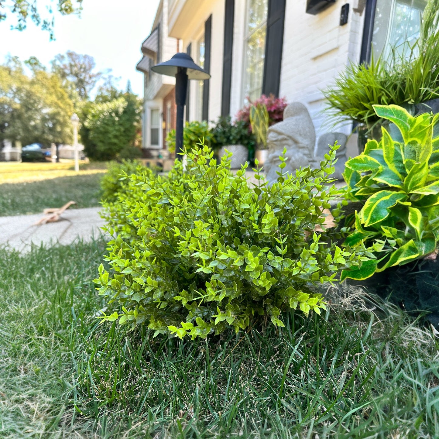 Artificial Boxwood Bush