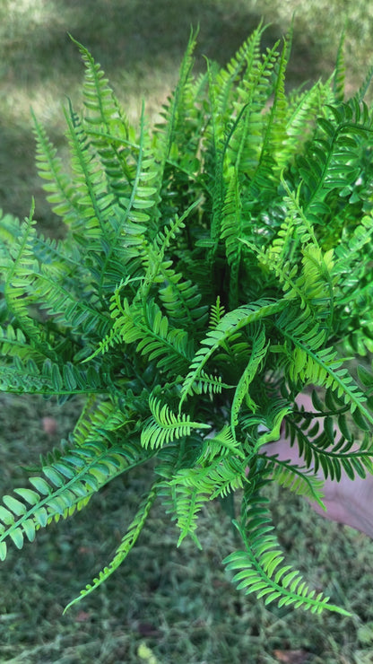 Artificial Fern Plant