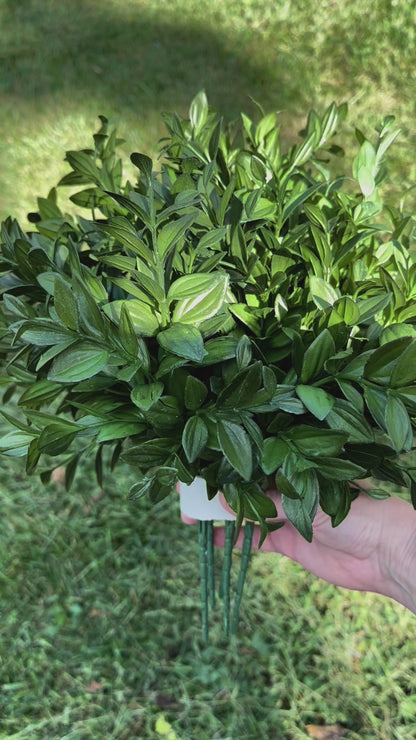 Artificial Dark Green Vanilla Plant