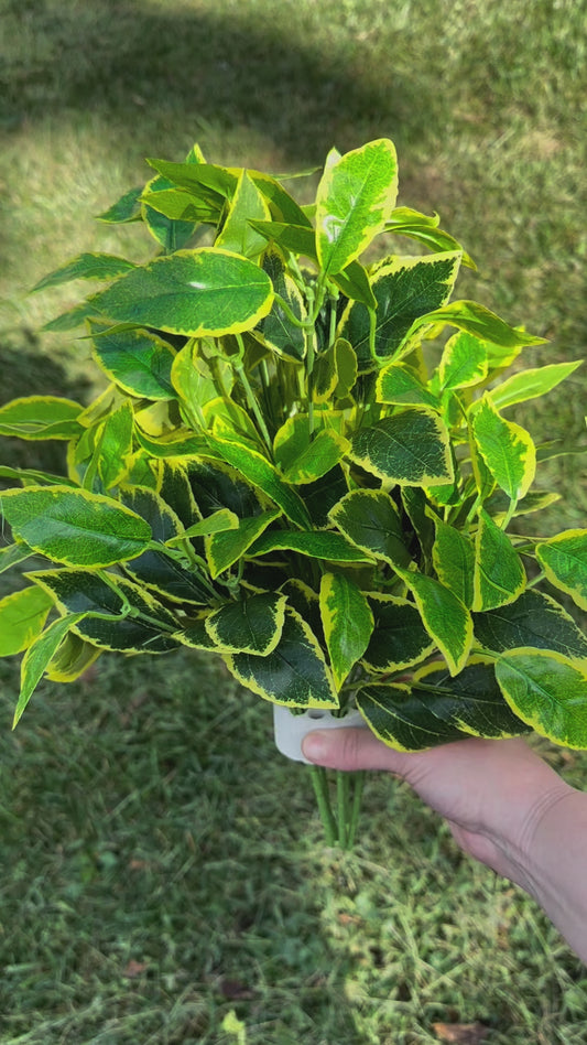 Artificial Weeping Fig (Rosemary) Plant